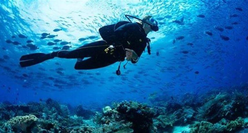 5 Reasons to Visit Madeira Islands after Coronavirus - Diving in Madeira 5 Reasons to Visit Madeira Islands after Coronavirus - Diving in Madeira